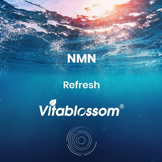 Vitablossom Refresh NMN Kapseln mit maximaler Stärke 500 mg 60 Kapseln