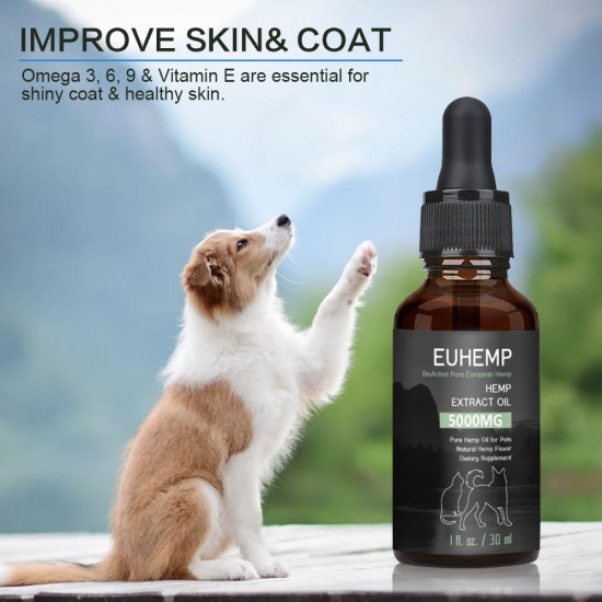 EUHEMP Huile pour chiens et chats - 5000 mg - 100% d'huile de chanvre biologique pour animaux de compagnie