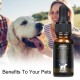 Precious Earth HEMP Huile pour chiens et chats - 10000mg - 100% d'huile de chanvre biologique pour animaux de compagnie