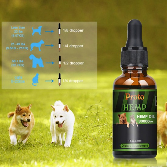 Huile de chanvre Proto Broad Spectrum pour chiens, 30000 mg, idéale pour le soulagement de la douleur, l'anxiété, l'apaisement, la récupération des animaux domestiques et le sommeil