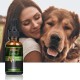 Huile de chanvre Proto Broad Spectrum pour chiens, 30000 mg, idéale pour le soulagement de la douleur, l'anxiété, l'apaisement, la récupération des animaux domestiques et le sommeil