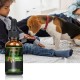 Huile de chanvre Proto Broad Spectrum pour chiens, 30000 mg, idéale pour le soulagement de la douleur, l'anxiété, l'apaisement, la récupération des animaux domestiques et le sommeil